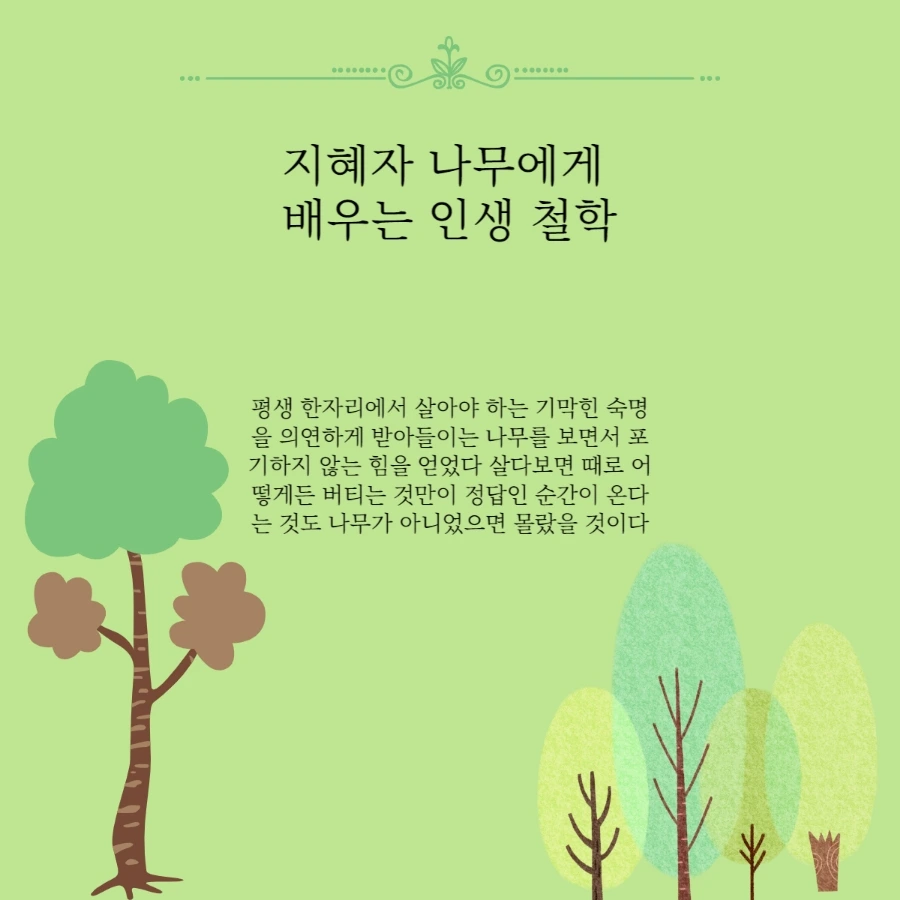 1667304998469.jpg?type=w1