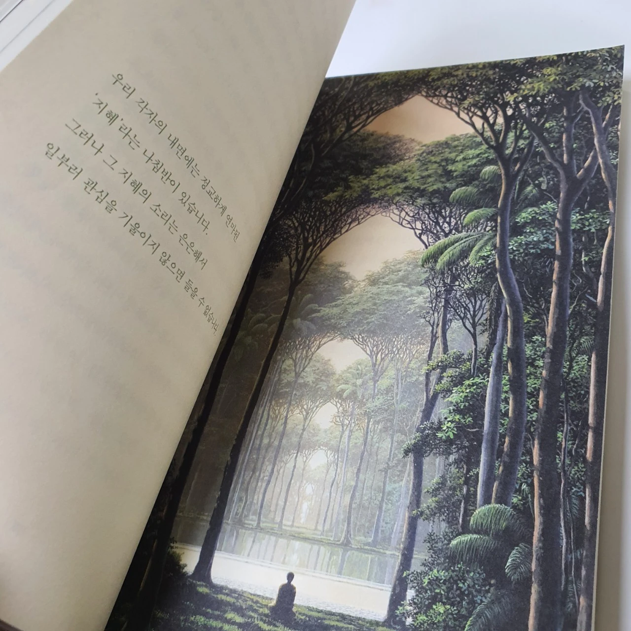 0_gafUd018svc1kgs22dche2so_mi6z7.jpg?type=e1920_std