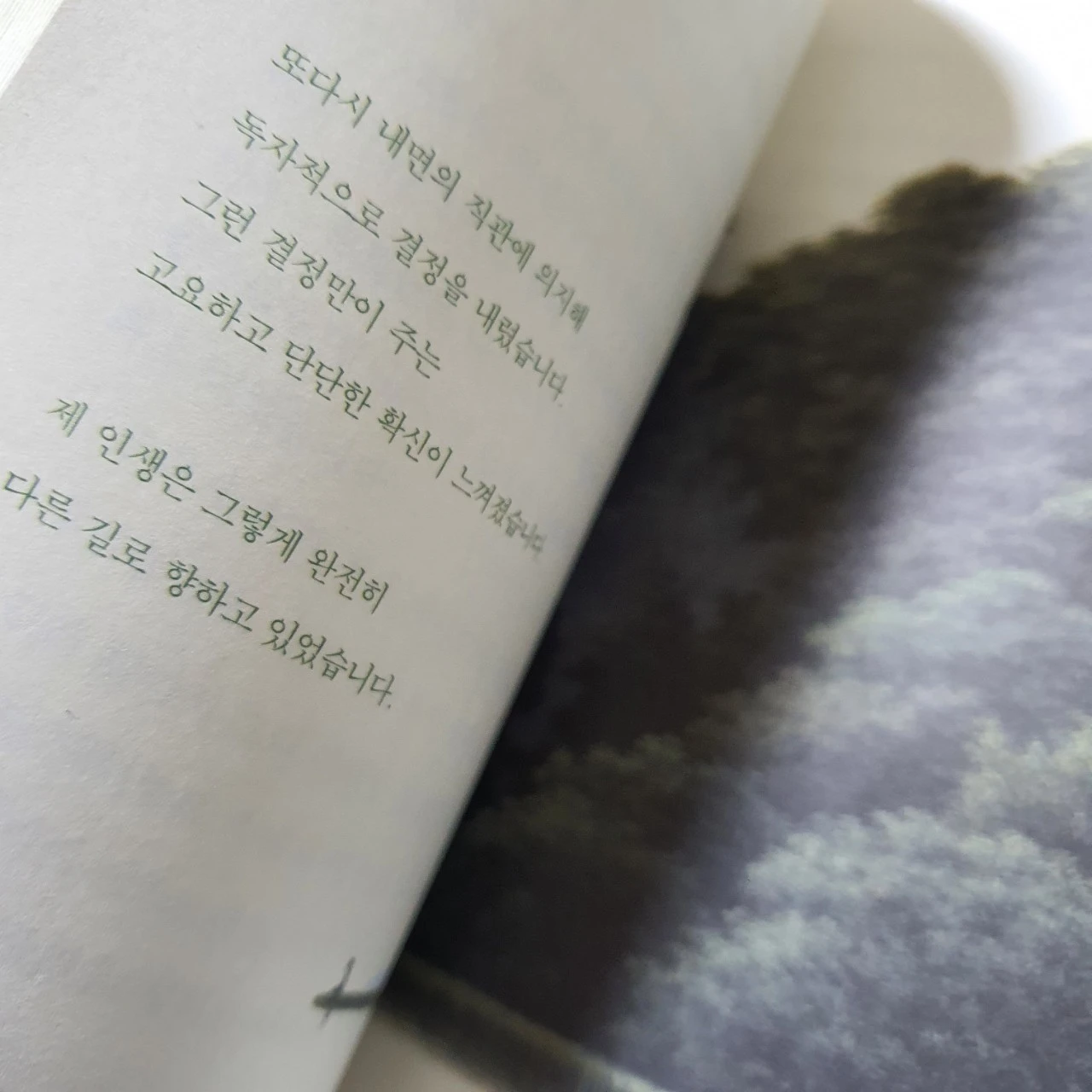 7_f64Ud018svcnmwrpe4xpp78_mi6z7.jpg?type=e1920_std