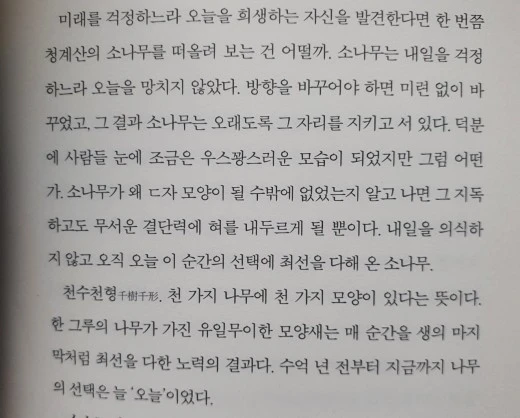 1_f23Ud018svcq2mm24gbccab_mi6z7.jpg?type=w520