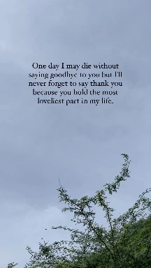 172995_uploaded_10834247.jpg?type=w1