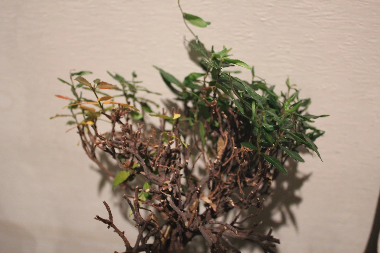 28. 반려의 질문.JPG