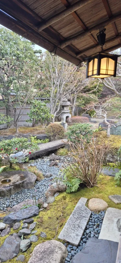 900%EF%BC%BF20250211%EF%BC%BF095114.jpg?type=w466