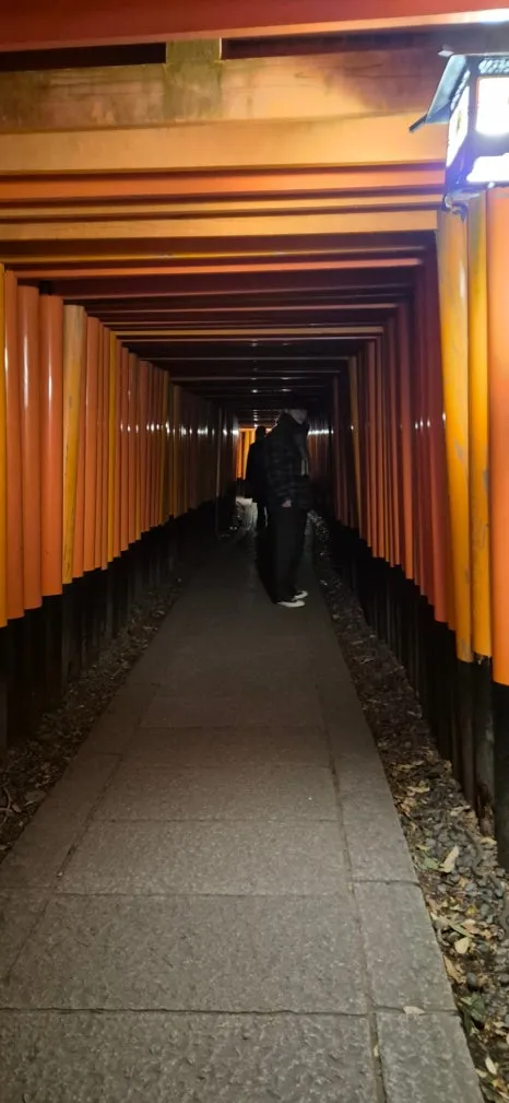 900%EF%BC%BF20250210%EF%BC%BF184958.jpg?type=w466