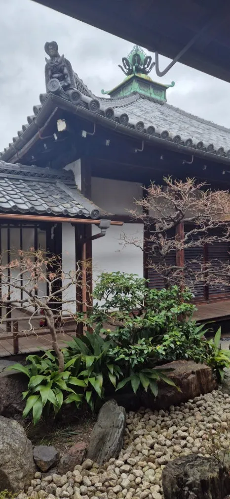 900%EF%BC%BF20250211%EF%BC%BF094257.jpg?type=w466