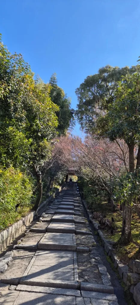 900%EF%BC%BF20250210%EF%BC%BF101742.jpg?type=w466