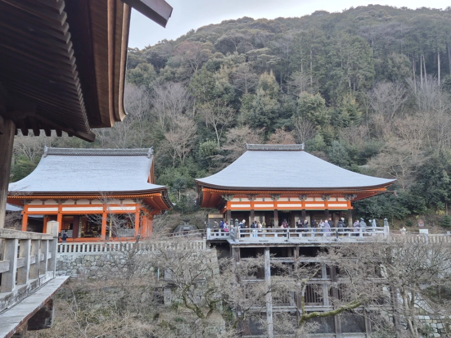 900%EF%BC%BF20250210%EF%BC%BF083030.jpg?type=w966