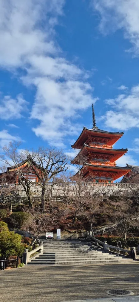 900%EF%BC%BF20250210%EF%BC%BF090235.jpg?type=w466