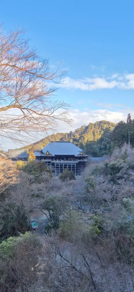 900%EF%BC%BF20250210%EF%BC%BF084855.jpg?type=w466