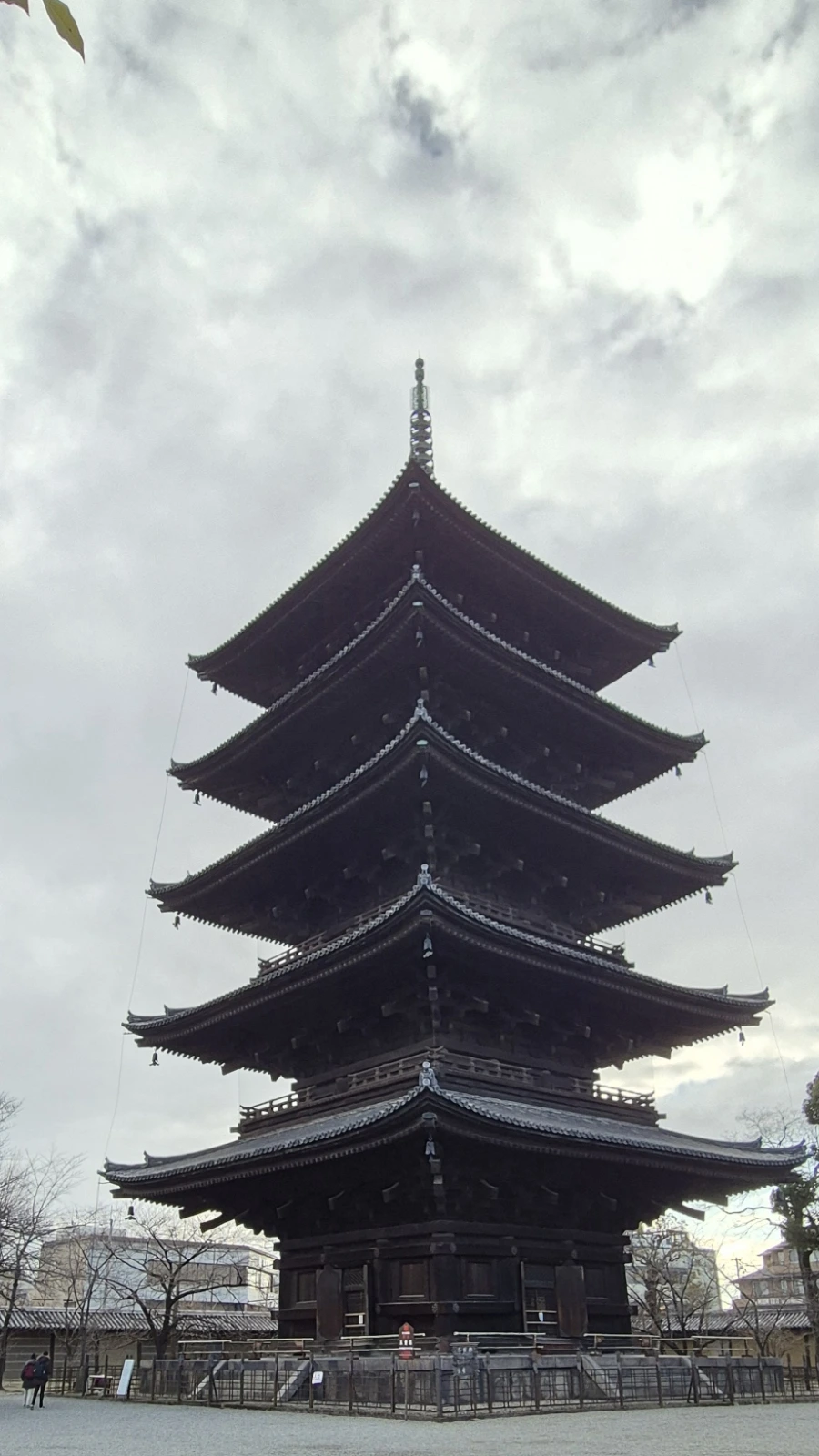 900%EF%BC%BF20250211%EF%BC%BF090827.jpg?type=w966