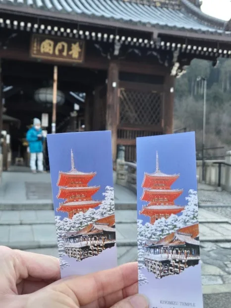 900%EF%BC%BF20250210%EF%BC%BF082623.jpg?type=w466