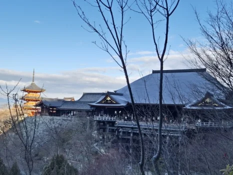 900%EF%BC%BF20250210%EF%BC%BF084145.jpg?type=w466