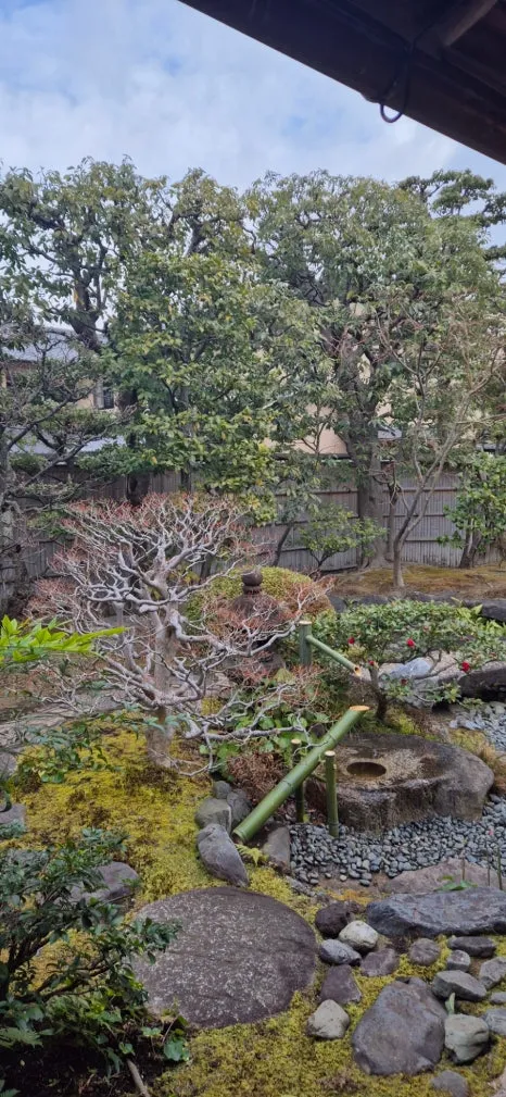 900%EF%BC%BF20250211%EF%BC%BF095121.jpg?type=w466