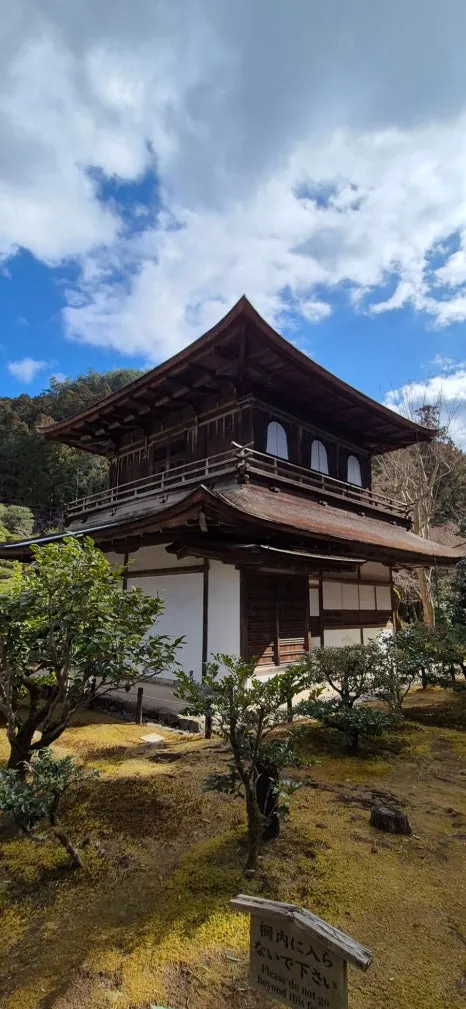 900%EF%BC%BF20250210%EF%BC%BF131037.jpg?type=w466