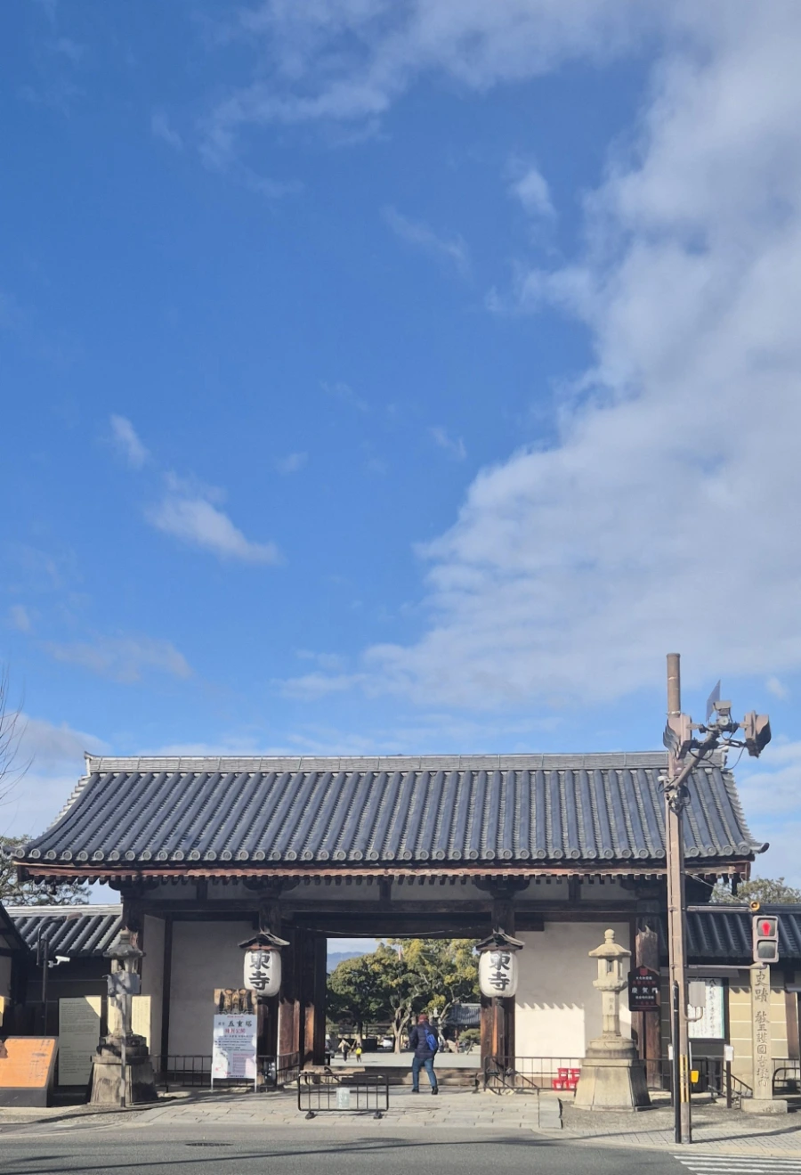 900%EF%BC%BF20250211%EF%BC%BF085828.jpg?type=w966