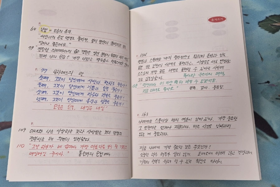 900%EF%BC%BF1750728887635.jpg?type=w966