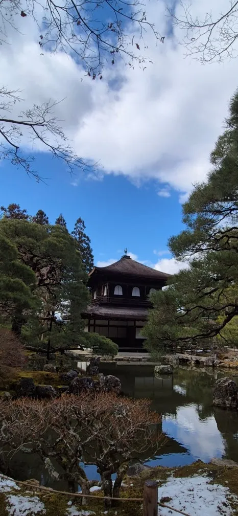 900%EF%BC%BF20250210%EF%BC%BF125035.jpg?type=w466