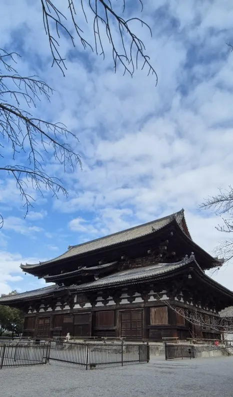 900%EF%BC%BF20250211%EF%BC%BF091013.jpg?type=w466