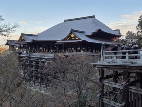 900%EF%BC%BF20250210%EF%BC%BF083925.jpg?type=w466