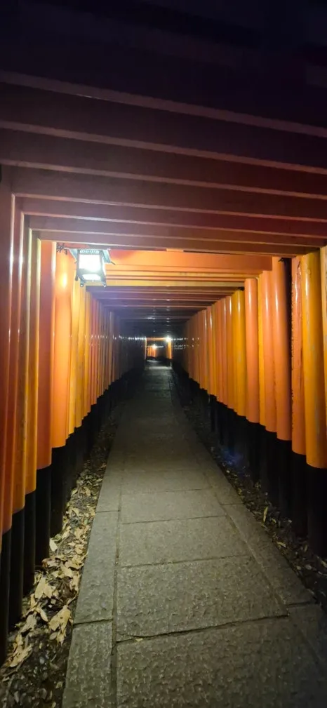 900%EF%BC%BF20250210%EF%BC%BF184922.jpg?type=w466