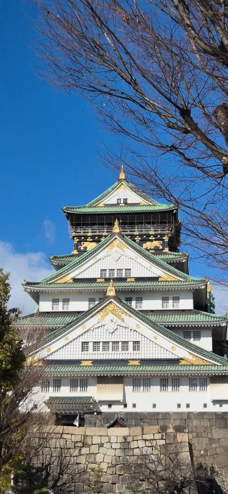 900%EF%BC%BF20250211%EF%BC%BF140749.jpg?type=w466