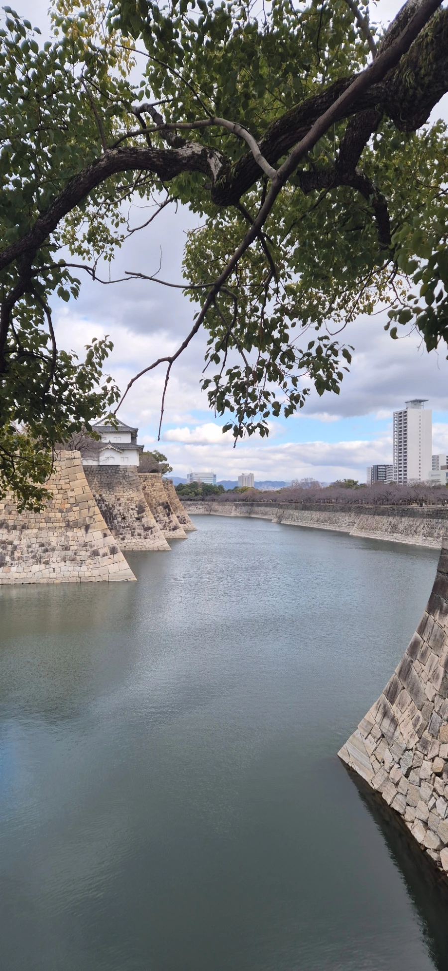 900%EF%BC%BF20250211%EF%BC%BF144106.jpg?type=w966