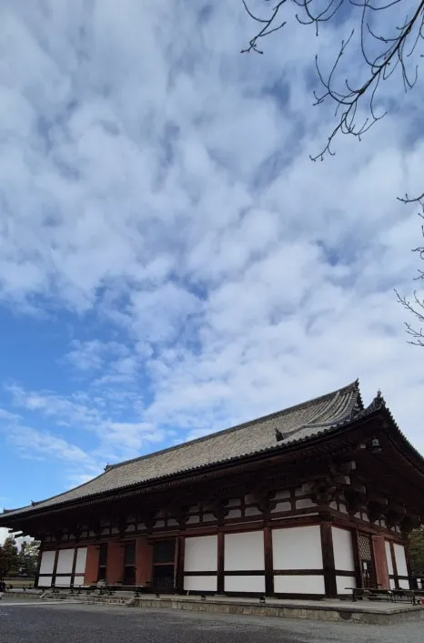 900%EF%BC%BF1739237549123.jpg?type=w466