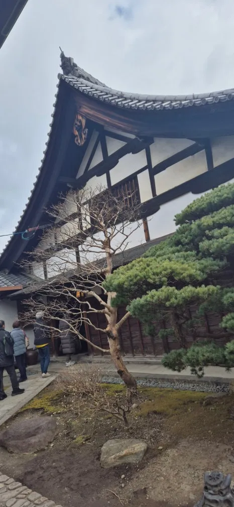 900%EF%BC%BF20250211%EF%BC%BF095523.jpg?type=w466