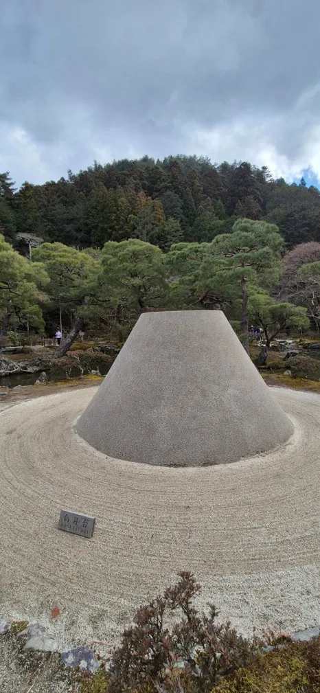 900%EF%BC%BF20250210%EF%BC%BF124813.jpg?type=w466