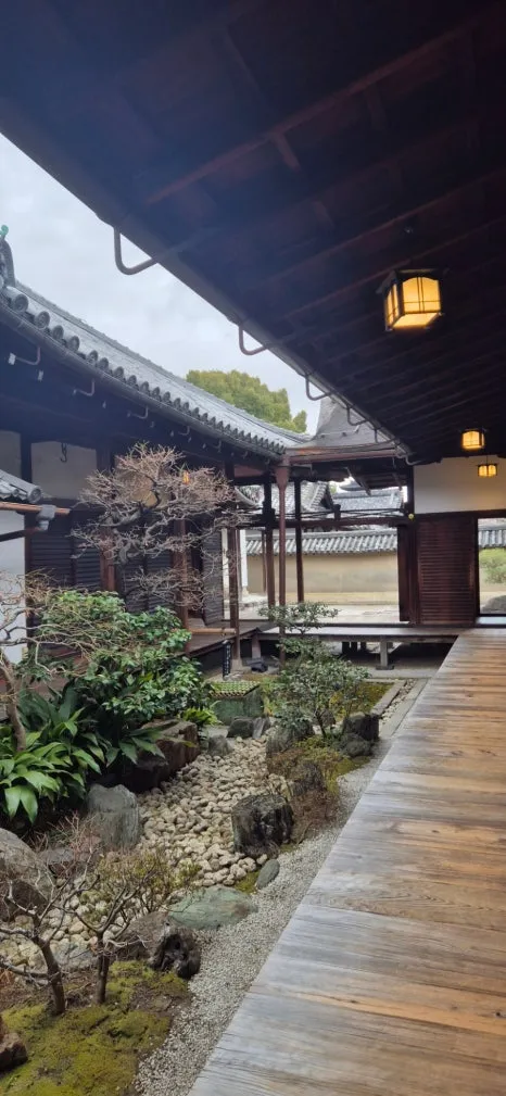 900%EF%BC%BF20250211%EF%BC%BF094244.jpg?type=w466