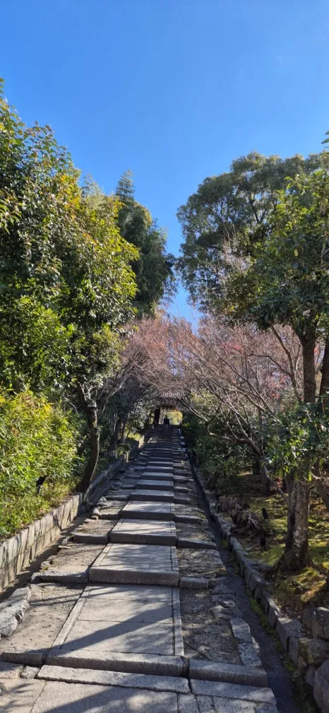 900%EF%BC%BF20250210%EF%BC%BF101742.jpg?type=w466