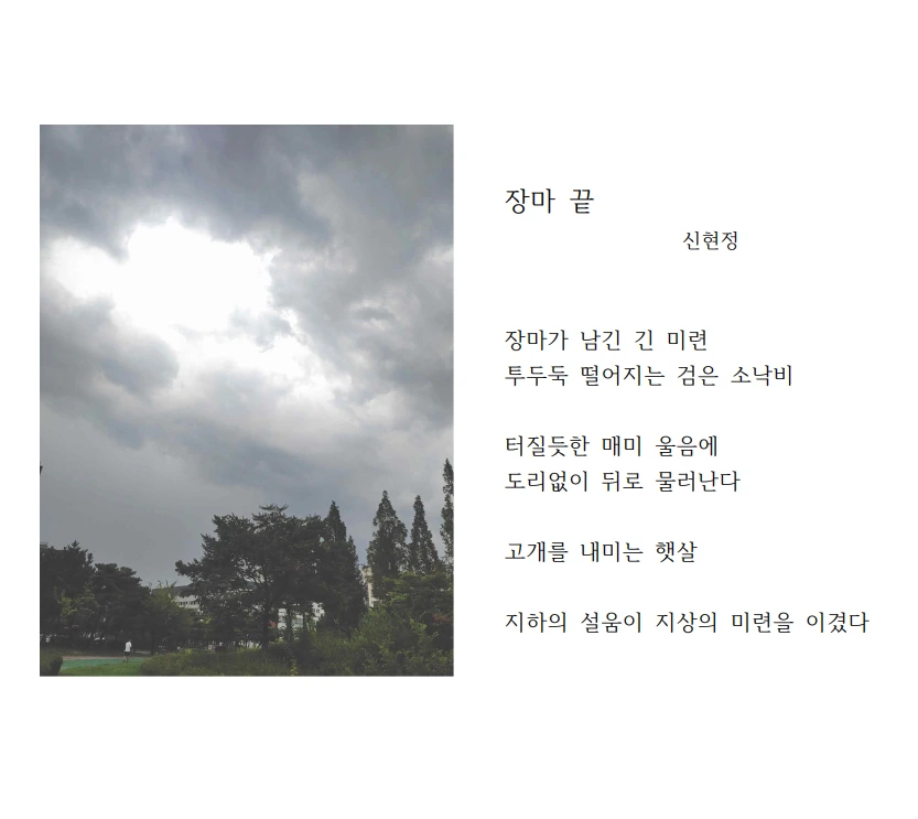 디카시 장마끝.PNG