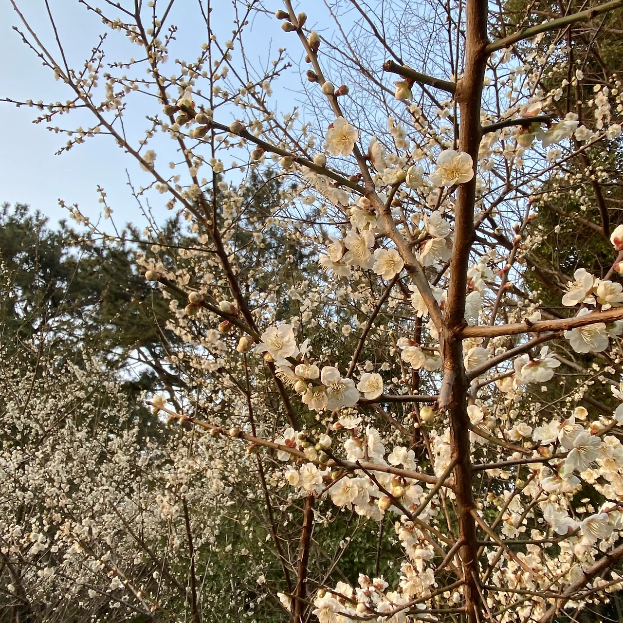 o-yzdhO7qgzycLQwRzcLc8UoNwKUPHQ0lkdN8SAFF6gE2g4SRCAykknlFG0kJIxqGjhnZ2TMiuxwOUtsfaKvS3-Zve5p8DrWPB0GiDuOij_S02zjEsr8BbspZ4iCy7kolfmYSXTuDDrrhr8htQy-xo0