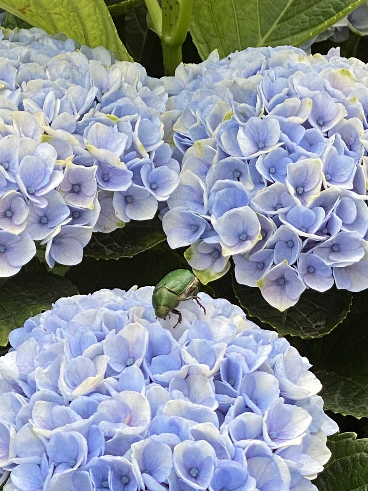 4cWhiMN5nTlxtYbfy-FoPYXXu-1l2-2oU4Gy4aG5xxSK5UygCMSyinvzC_qwxAeWQVIhc5KXyBbFy4eJkWTEUEFgne9O3idmz2UC1Ac8PZHS8t-niihCz1id9c9eWQea4BRZmfaJbhs-qp0jU0yCcVc