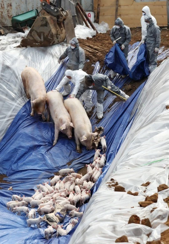 다운로드 (1).jpeg