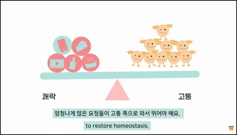 SE-411bbb7f-ef63-41ba-ba91-b6ba67dec79c.jpg?type=w773