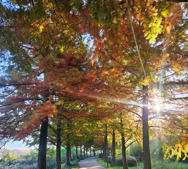 SE-2865ba81-9dbd-11ef-8b20-45bc2f52a795.jpg?type=w773