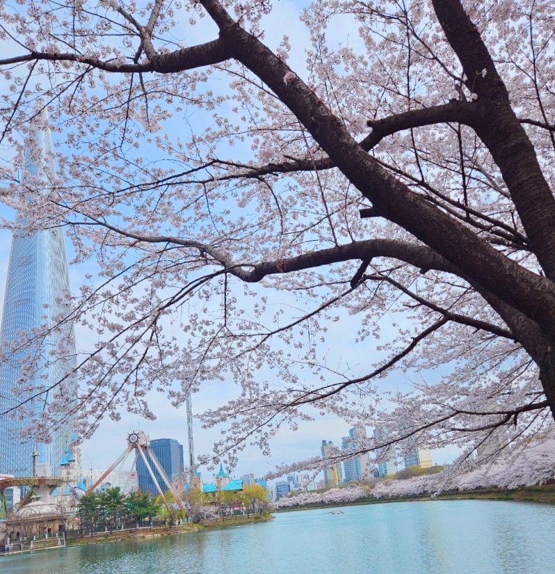 SE-744a0403-9cc6-11ef-bb25-9bfdb760efa7.jpg?type=w1