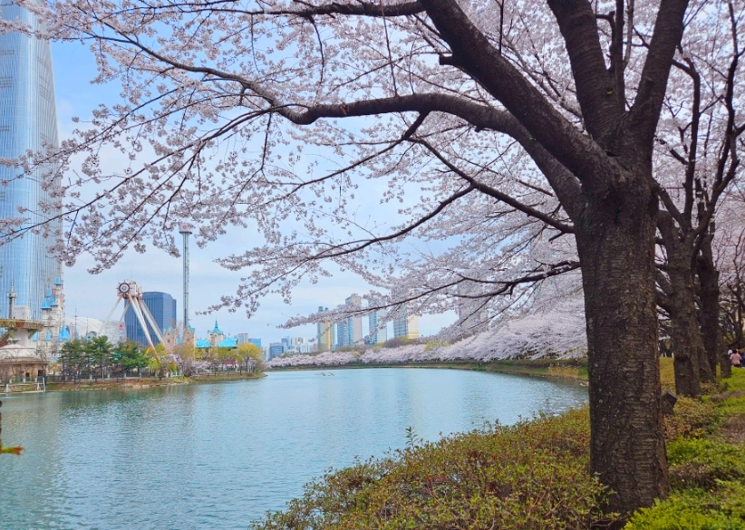 SE-744b6394-9cc6-11ef-bb25-45d3c1c42734.jpg?type=w1