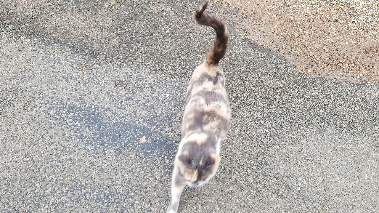 05yCoEWtnJ9uhDVlsKAko5CPVRv6MhS_fOs1VxIw9Wzz7KnRWVNdCm6wJLRLHHSMYzG7pMUhiiVAxAXE0ZPN64omGT0OpnmSZK1vdxx7SbMnW5pak9c_z4kmeuFncLS-c-sKhqHrT-lLIx2MlWhshBNoNg5uU6EoULhvwMzhjTK61nXrwg2URv3cmessOig7RIRGEEkKbLxNvV447rdXOf0eu4L_2cqs-GgfzhrAOliR7nhUONCF4Kws9OvmK8fs-Fep94whG5PtJ4Gxp7LehHC7btas7Arv6VtXWAQLF1-sTTkq-QmVvj-tLbB356hNJTUZxMu3M0QJTTzelk-Yzc8OaAv7xnKAG7ZUb6VqYNvdoTfUTVqbP-eRd3YOE0MFt57KvKc_bfjW-g1912rjwL0x6Dx6eMe7q7A6SfiS5c7pqTX2ST7npADU9ntoFa-1ownHwC_H2O0BF0bnx8lozFwkRBoqweTxbqJ669V8ewDW5_-YFLkYm4R0XI_NdA16ai3t1sXSwiTJag92oMqUIhzrewvLWU2dfl7-NERB172OLbkKTIbH3m9C56bXYuNX3tfj2cAOBxlQ7W0Wls9r8tbDfkvXMZ18xYcWCopJerlXTrLq4NL0CkBhhvTvrskpEpPtY_S1X-jo-h2Jli7p8C0HWUBolxgeKseMcjC5x-q3XPmt2OIh92isVuMdvnjehqpKynDpK5foXW9V8mmA2VZjNMrVP_9C2QK5z7F8a7XuHYHH=w1723-h969-no