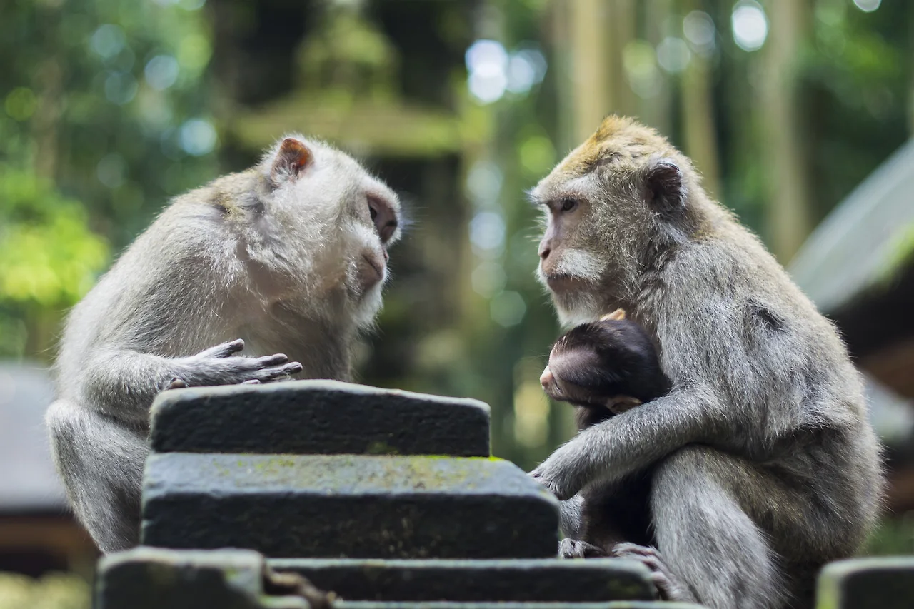 photo-1505298537670-f32d119be330?ixlib=rb-1.2.1&amp;ixid=eyJhcHBfaWQiOjEyMDd9&amp;auto=format&amp;fit=crop&amp;w=1000&amp;q=80