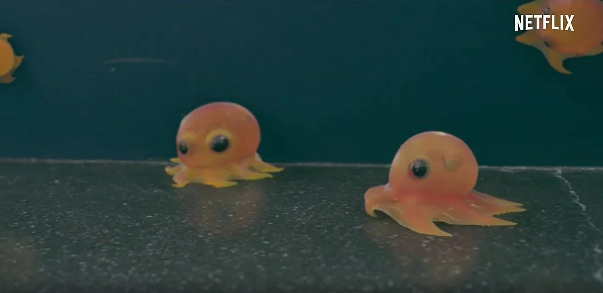 %EC%95%88%EC%9D%80%EC%98%8110.JPG?type=w1200