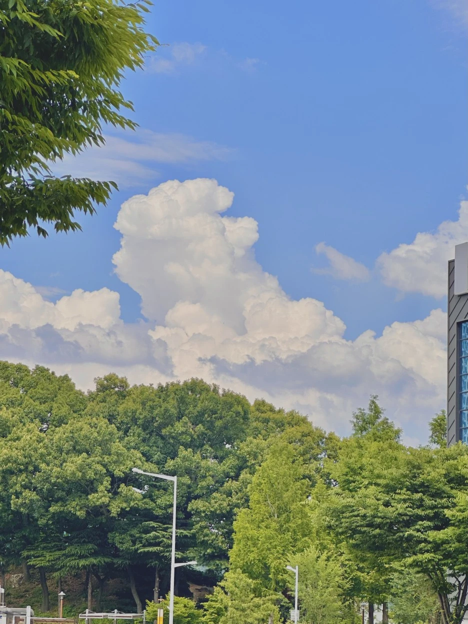 IMG_5331.jpg?type=w1