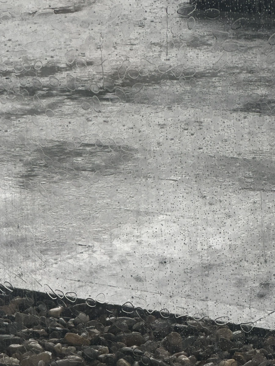 IMG_9947.jpg?type=w1