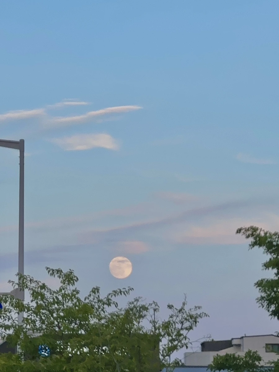 IMG_5085.JPG?type=w1