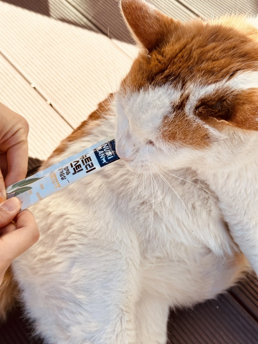 IMG_7474.jpg?type=w1