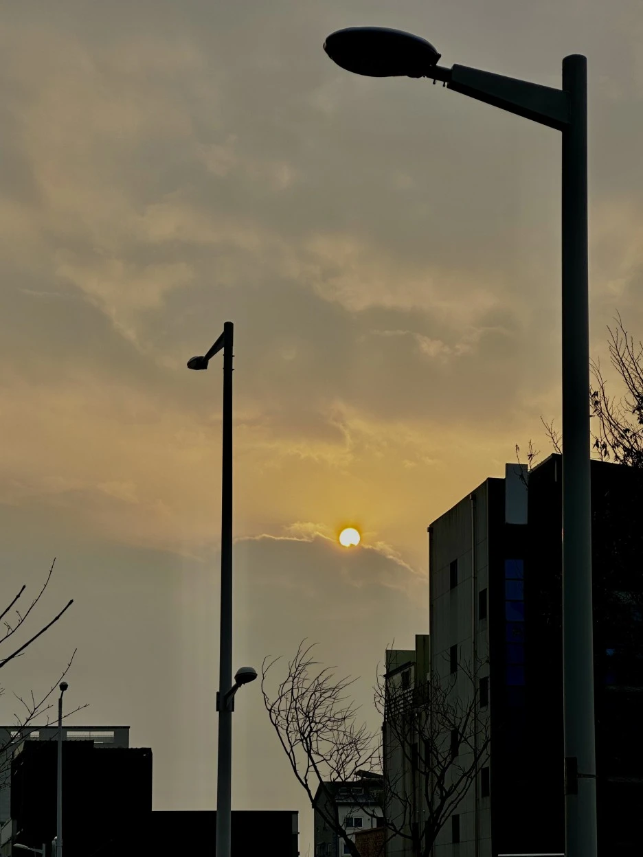 IMG_8950.jpg?type=w1