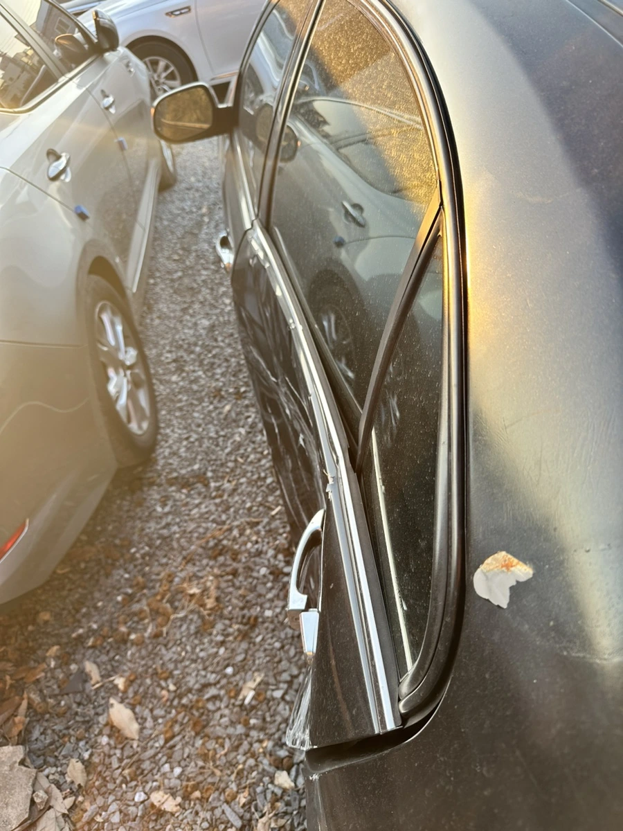 IMG_9173.jpg?type=w1