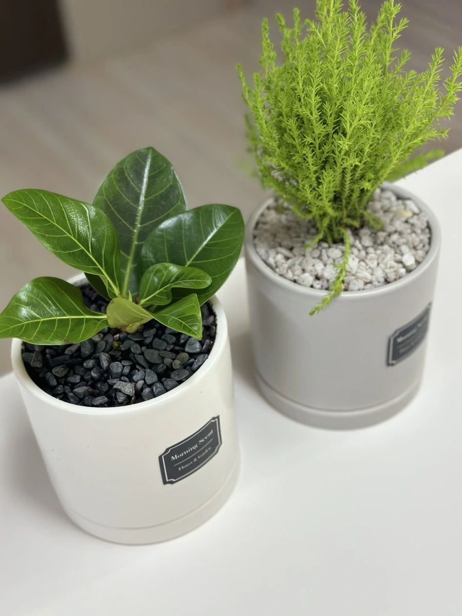 IMG_9463.jpg?type=w1