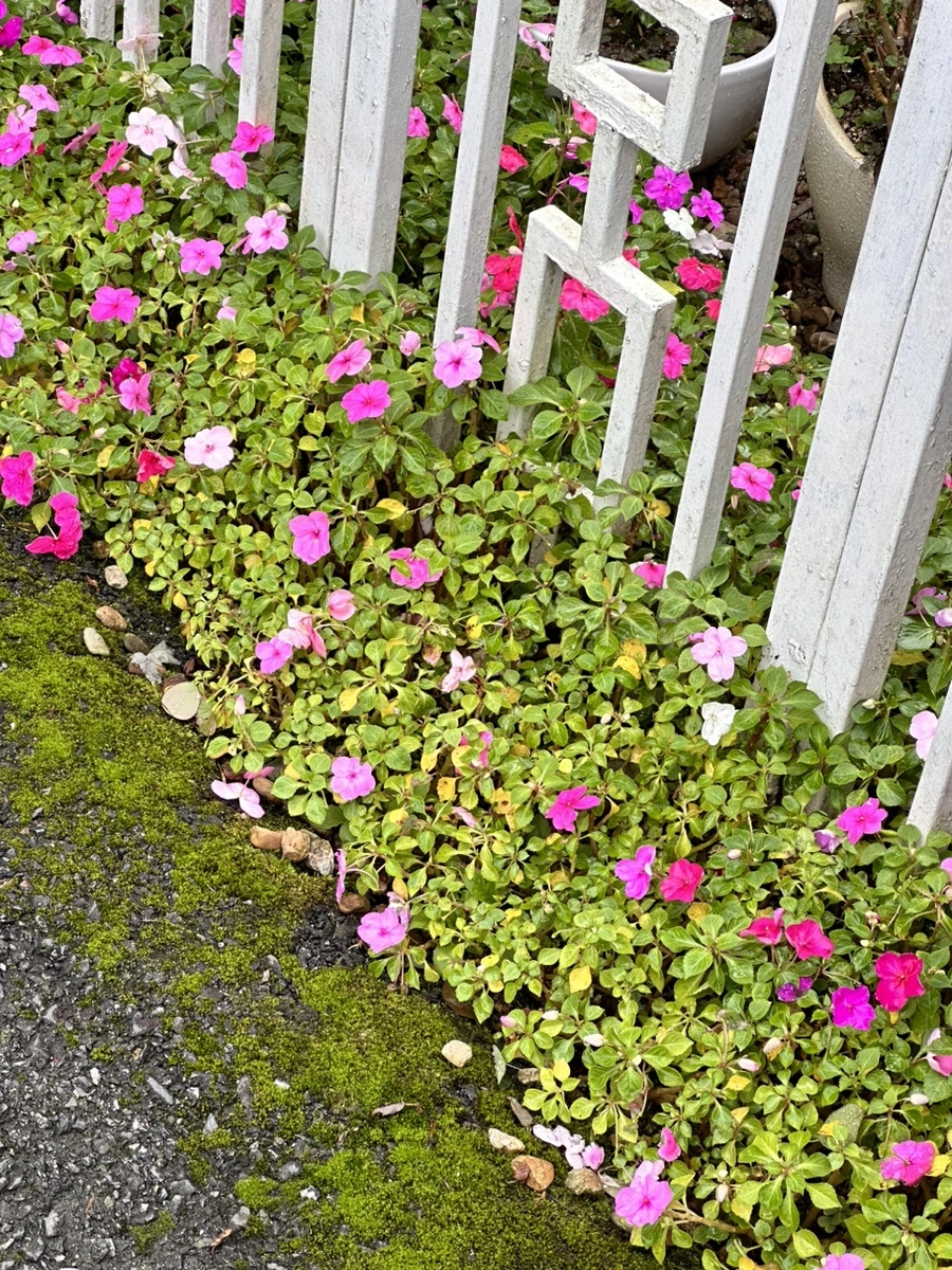 IMG_6484.jpg?type=w1